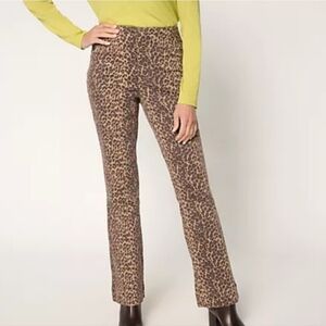Belle by Kim Gravel Leopard Print Pants Size 22W